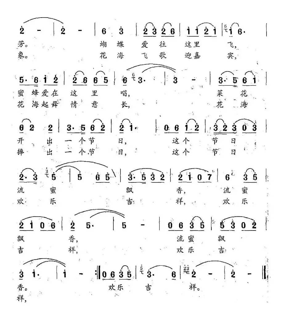 菜花开出的节日