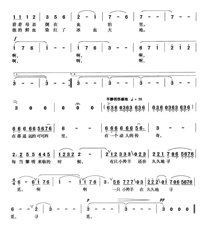 可可西里的故事