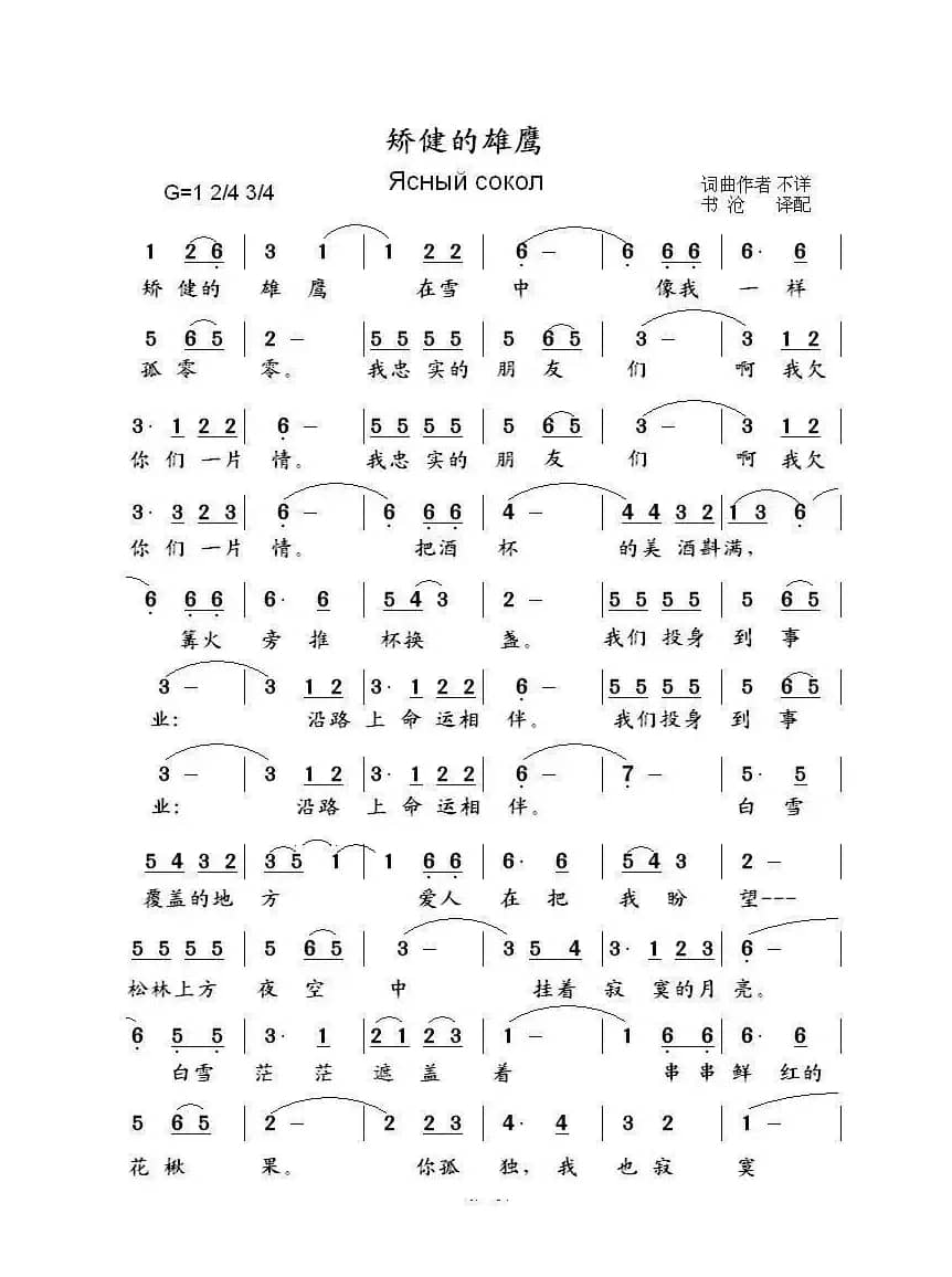 矫健的雄鹰Ясный сокол（中俄简谱）