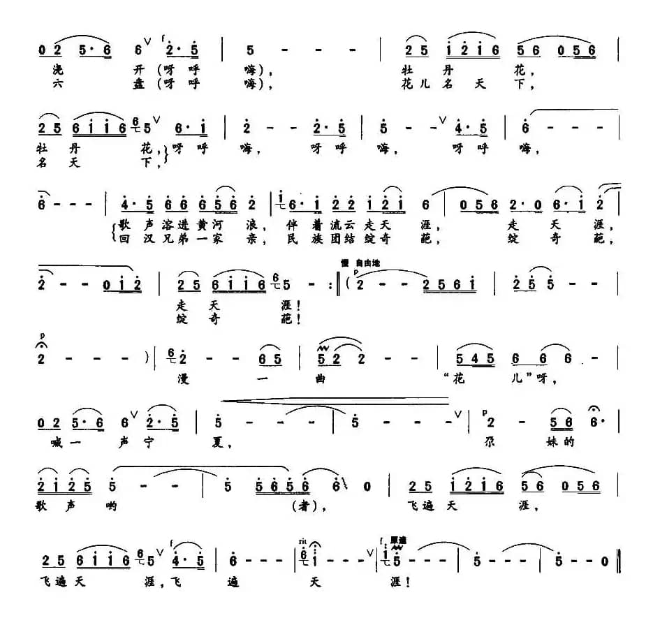 漫一曲“花儿”，喊一声宁夏