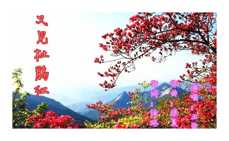 又见杜鹃红(徐环宙词 张夏林曲)