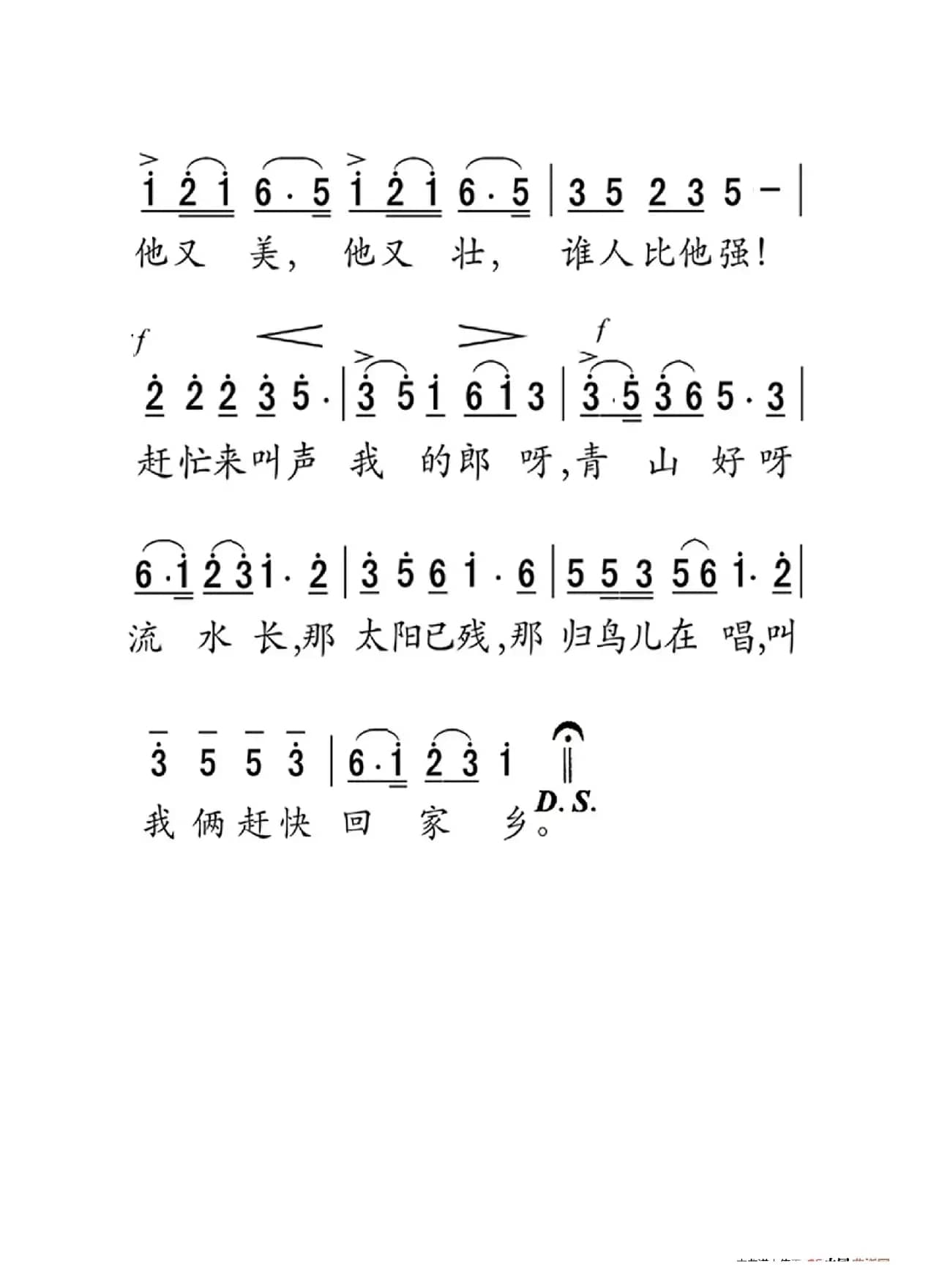 采槟榔（老人适用）