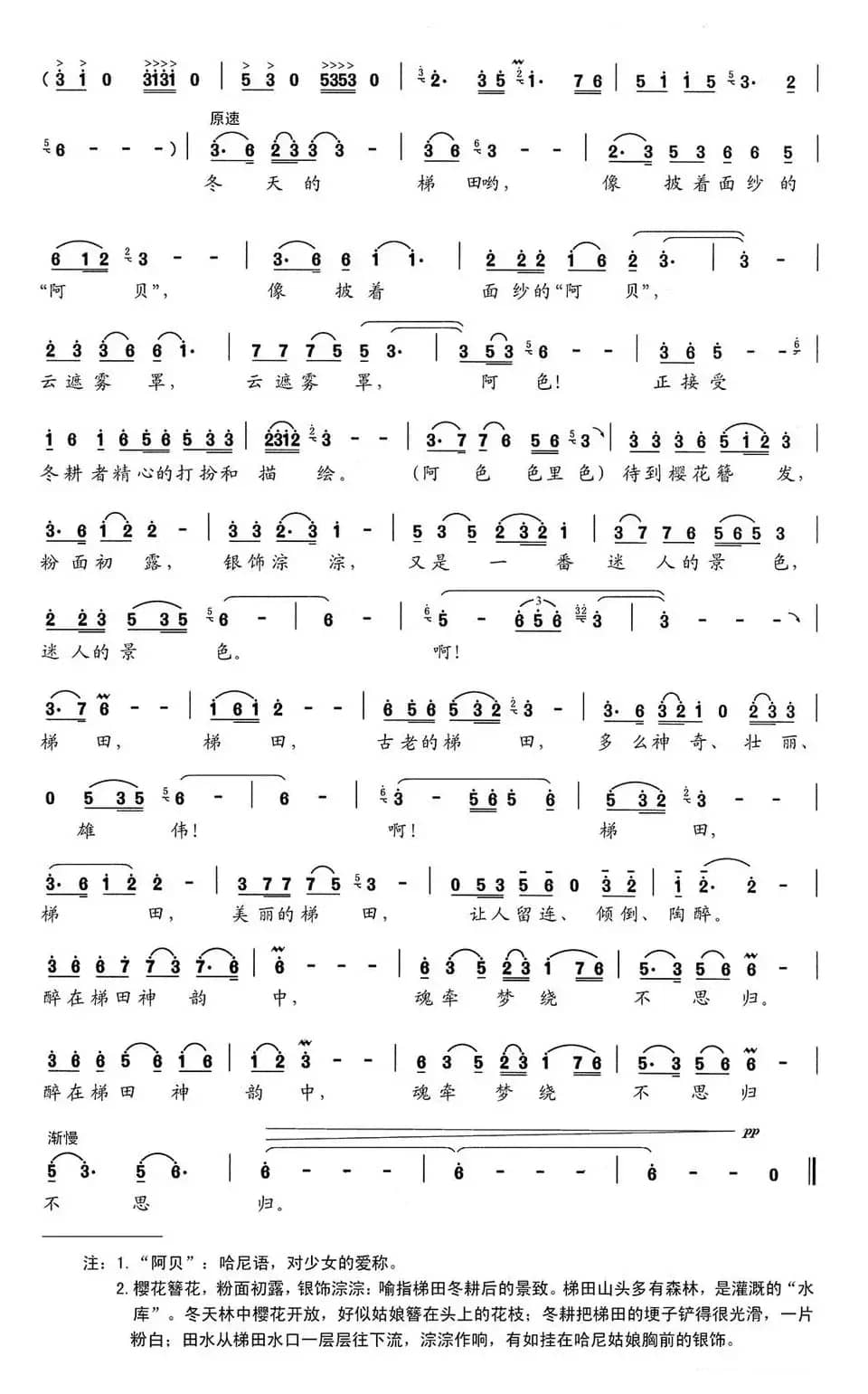 梯田神韵（祝贺红河哈尼梯田“申遗”成功）