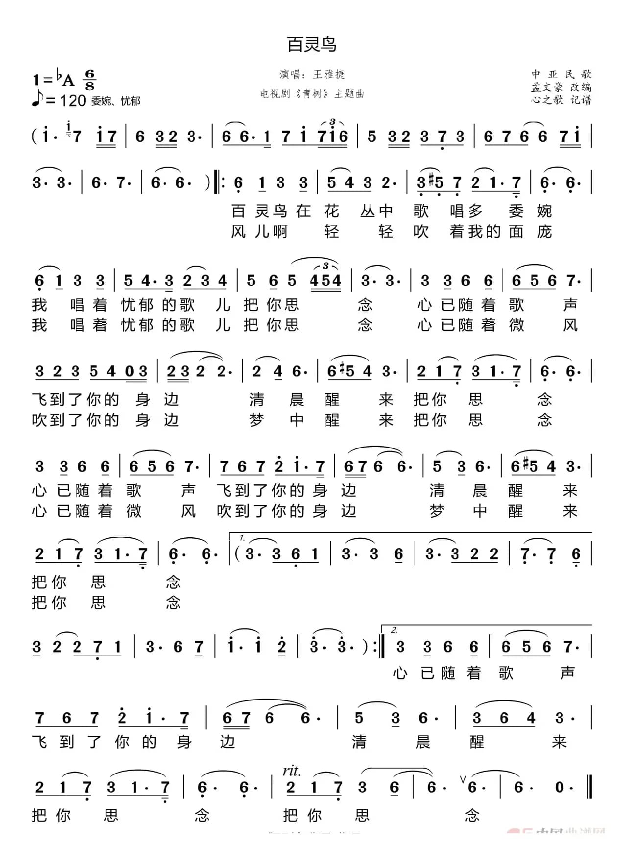 百灵鸟（王雅捷）