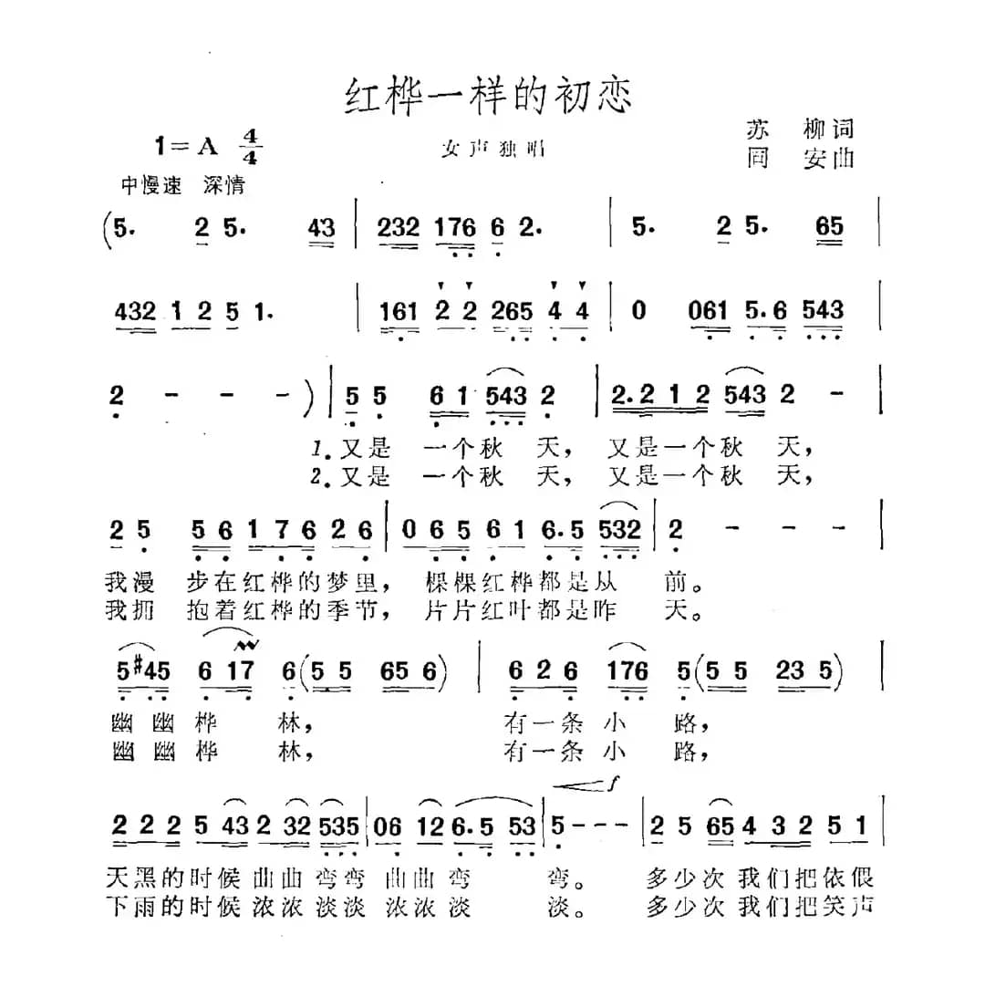 红桦一样的初恋