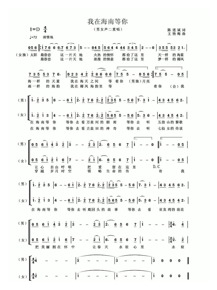 我在海南等你（陈道斌词 王艳梅曲）