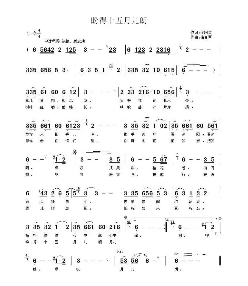 盼得十五月儿朗