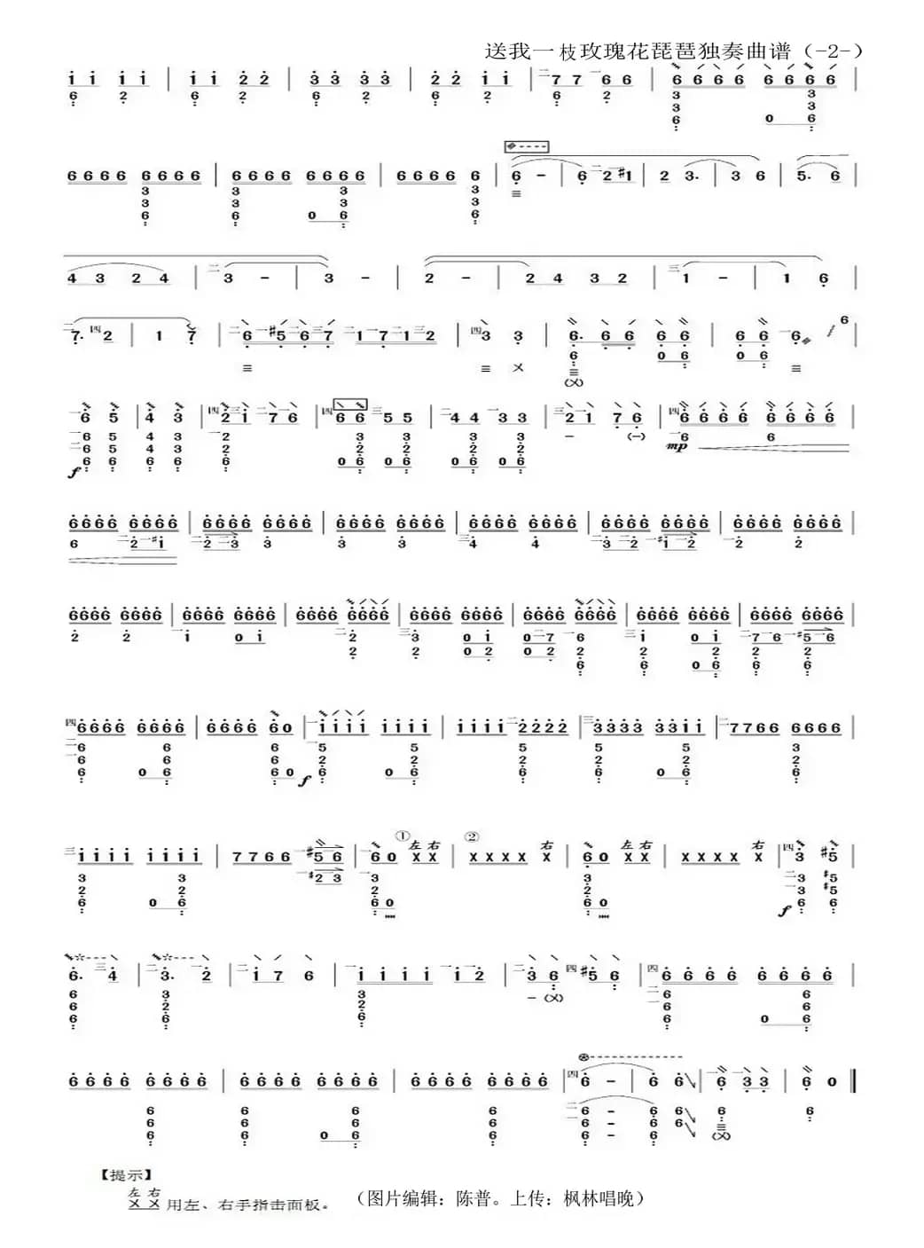 送我一枝玫瑰花（琵琶独奏曲谱）