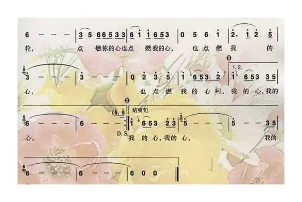 花一样的岁月花一样的年轮