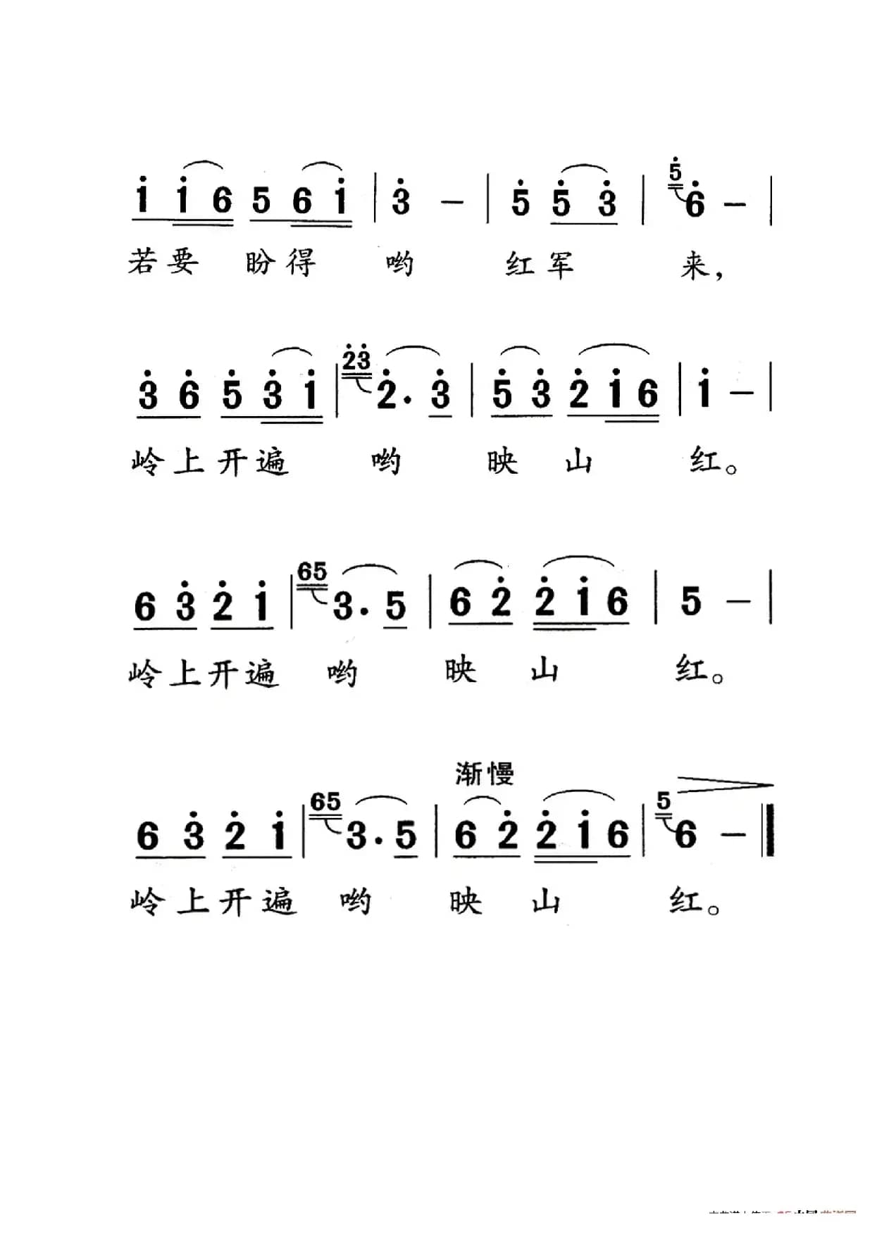 映山红（老人适用）