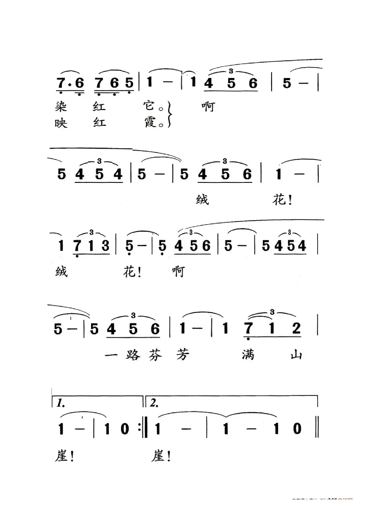 绒花（老人适用）