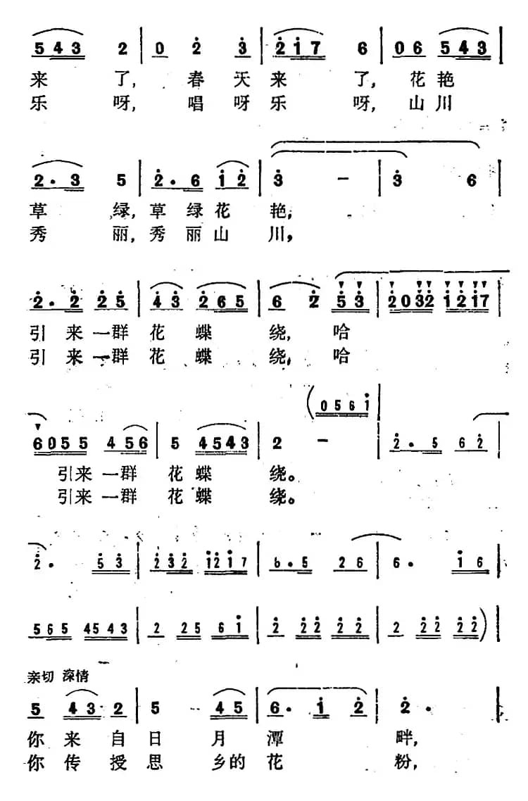 台湾飞来花蝴蝶 