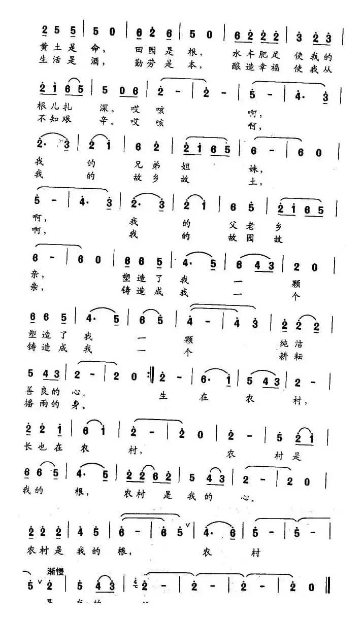 啊，农村，我的根