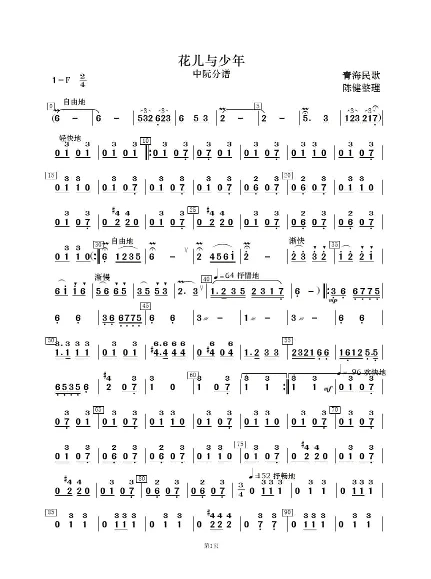 花儿与少年（民乐合奏）