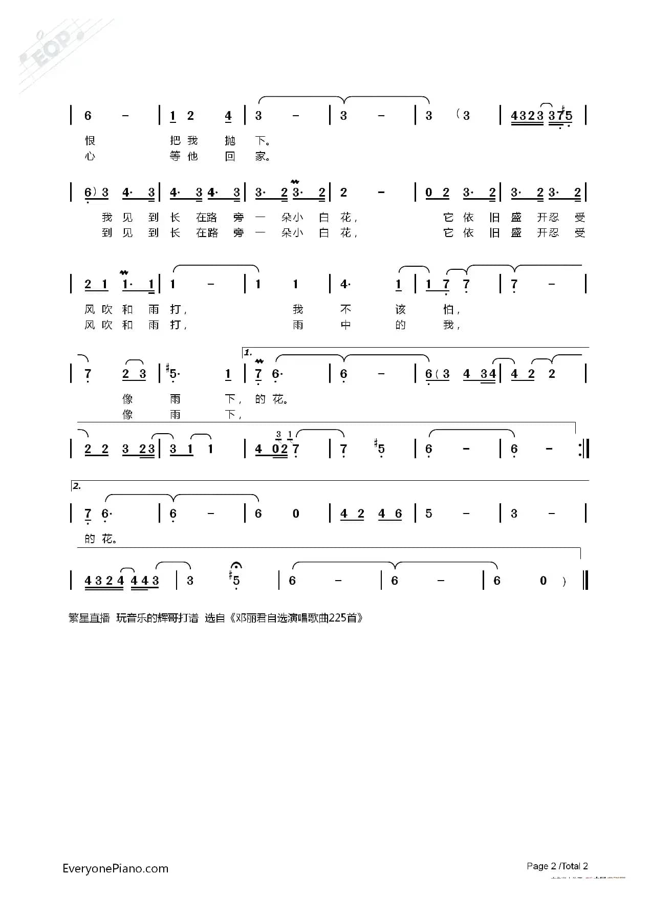 雨下的花朵（演唱  邓丽君）