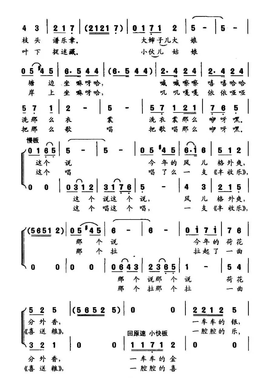 俺村有个荷花塘