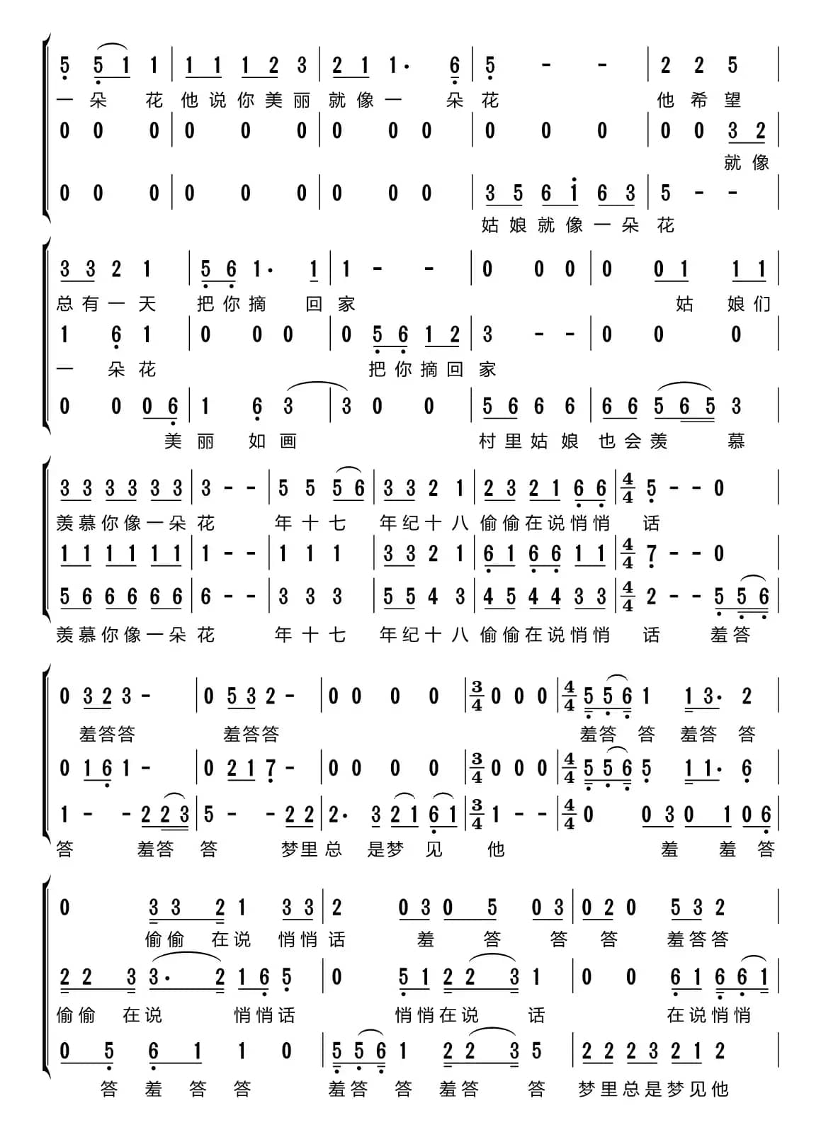 山茶花（梦之旅组合）