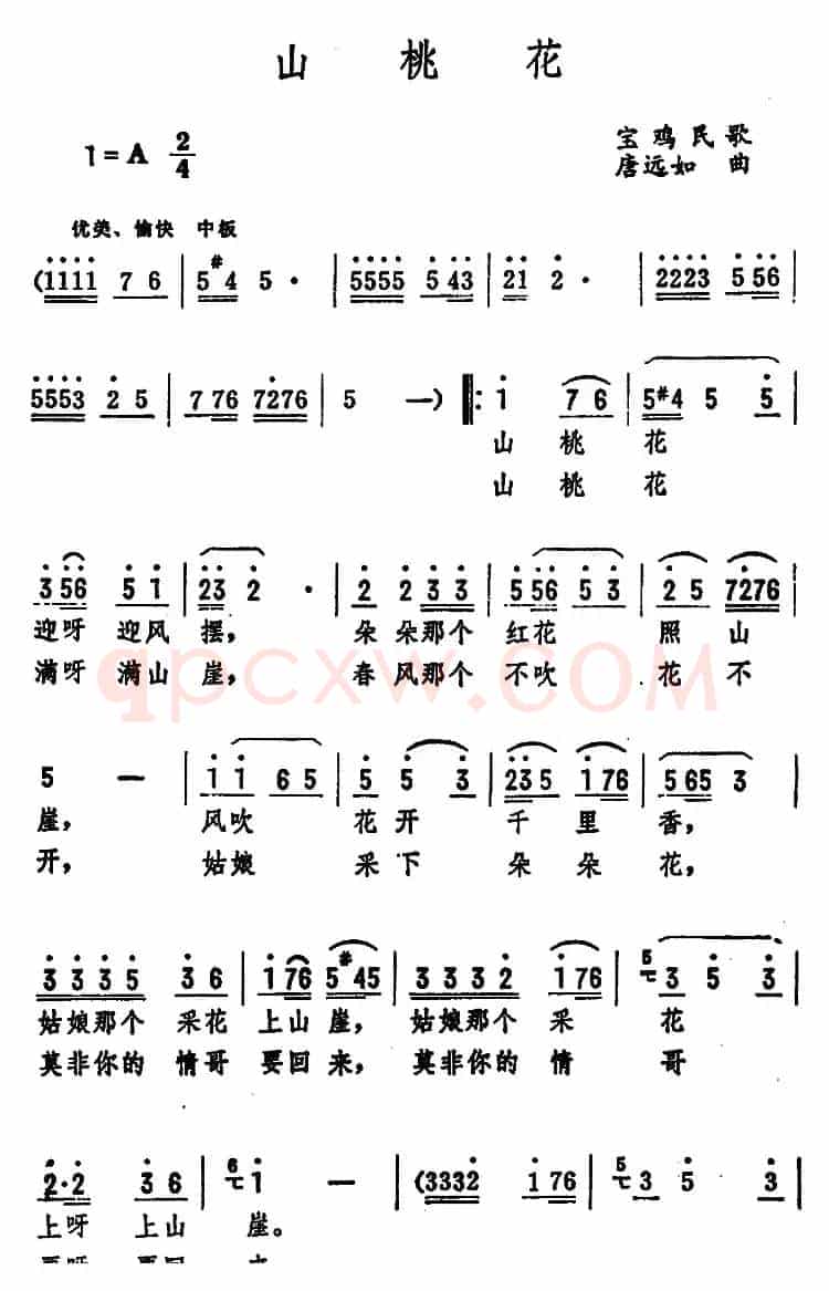 山桃花 （宝鸡民歌）