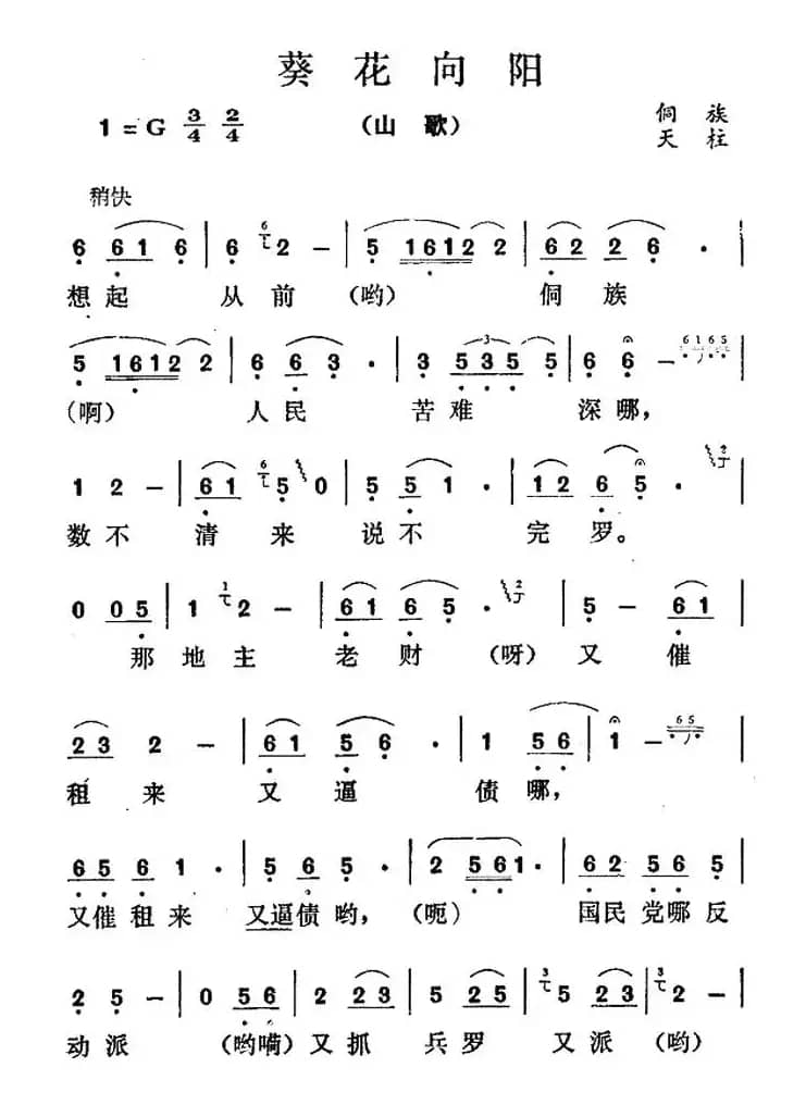 葵花向阳