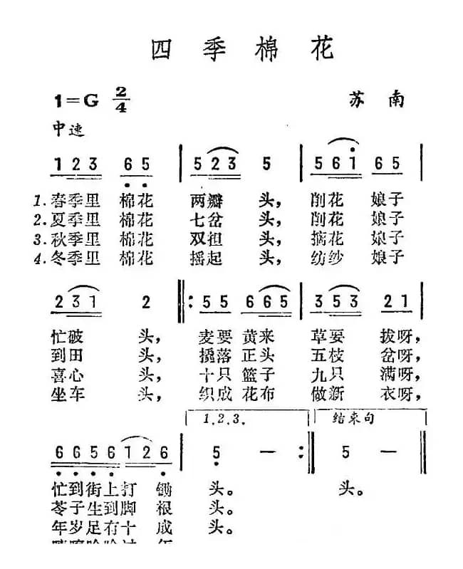 四季棉花