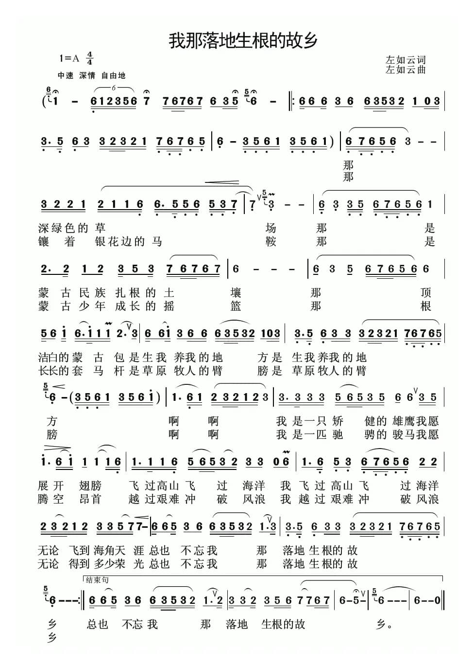 我那落地生根的故乡