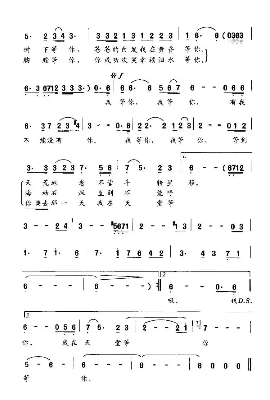 我等你（朝明词 晓夜曲）