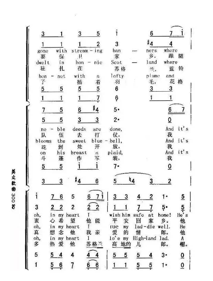 苏格兰的蓝铃花