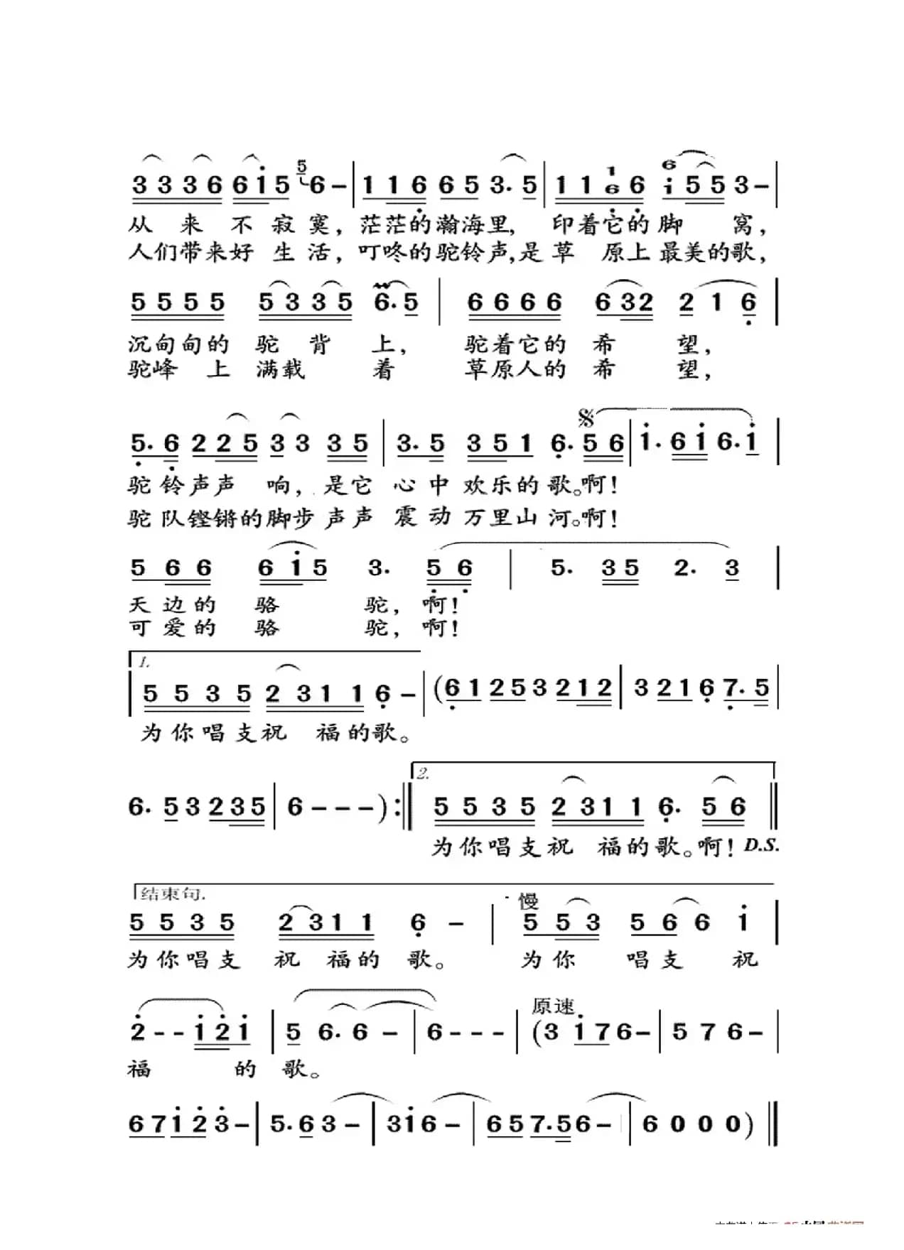天边的骆驼（大字老人适用）