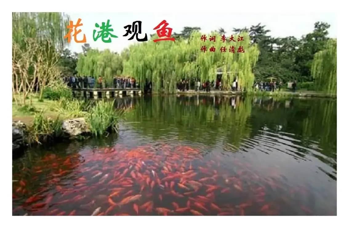 花港观鱼