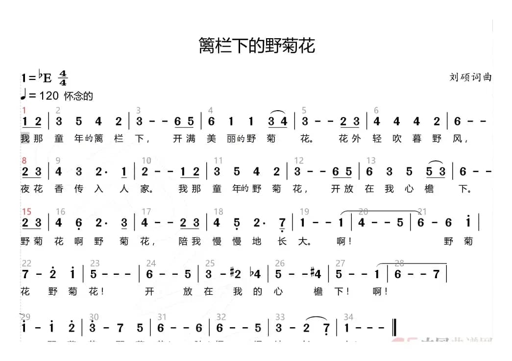 篱栏下的野菊花