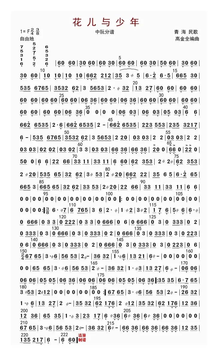 花儿与少年（中阮分谱）