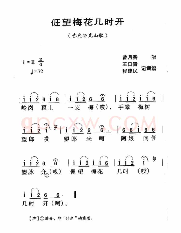 河源民歌：我望梅花几时开