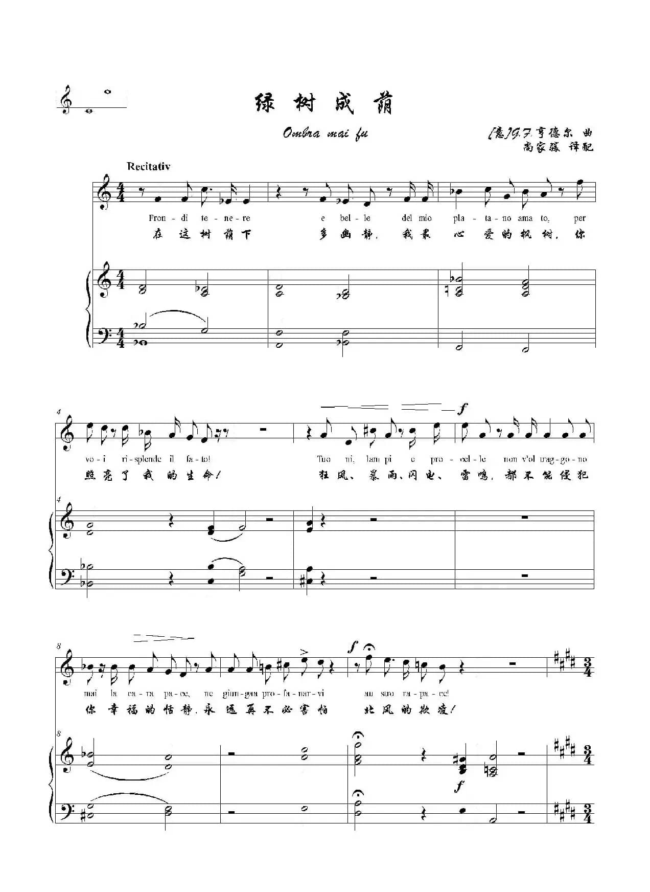 绿树成荫（E调正谱）