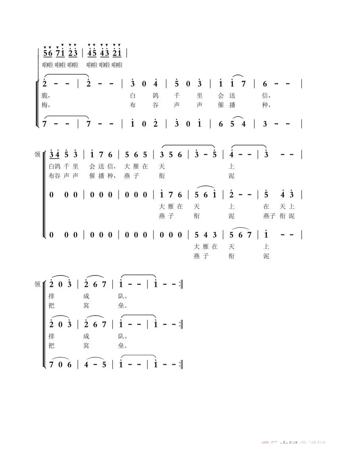什么鸟（童声合唱）