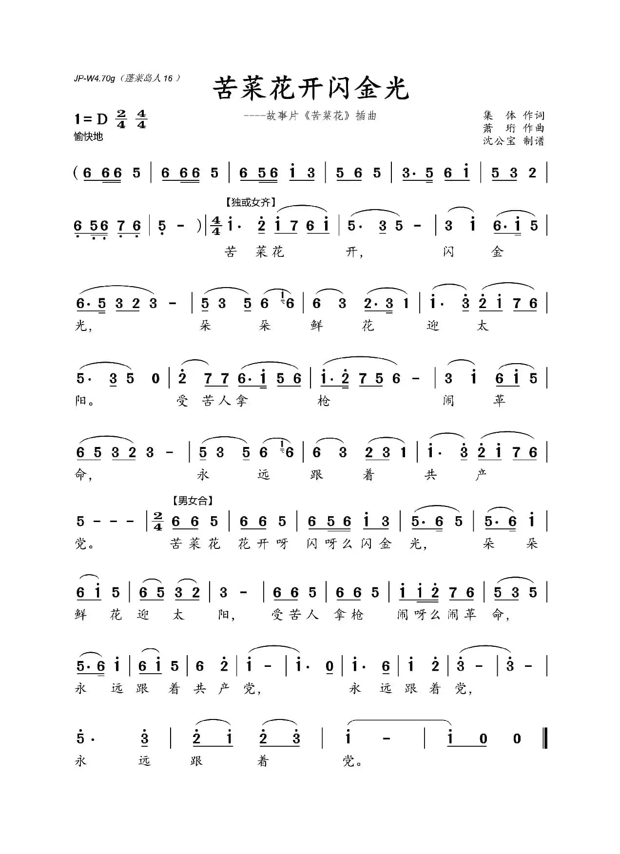 苦菜花开闪金光