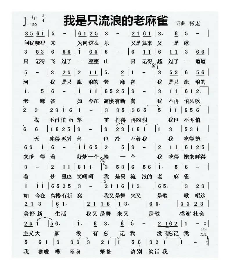 我是只流浪的老麻雀