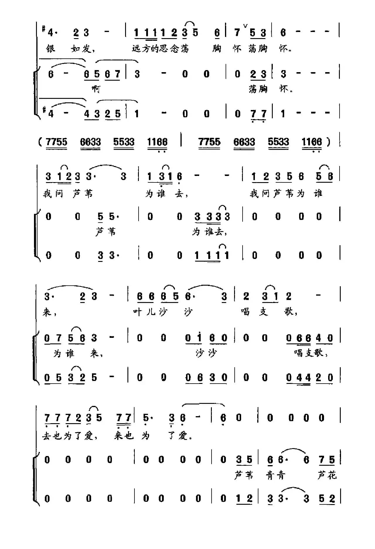芦苇儿青青芦花儿白