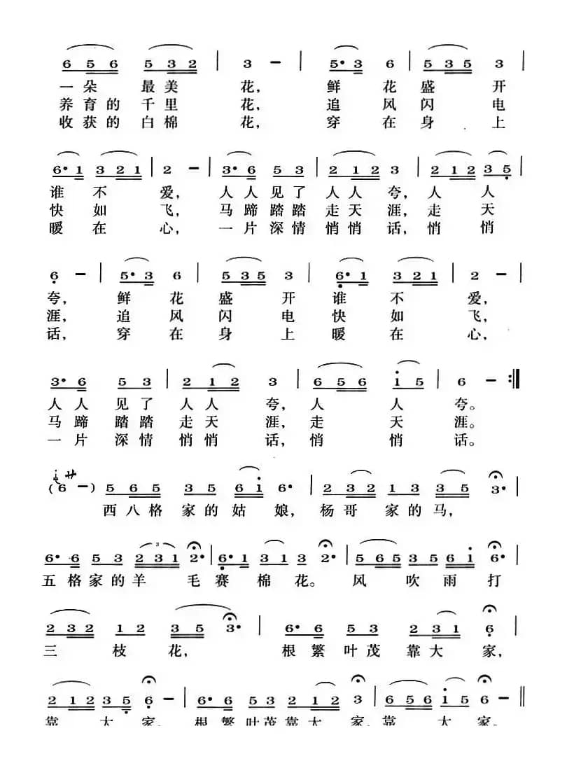 裕固族草原三枝花