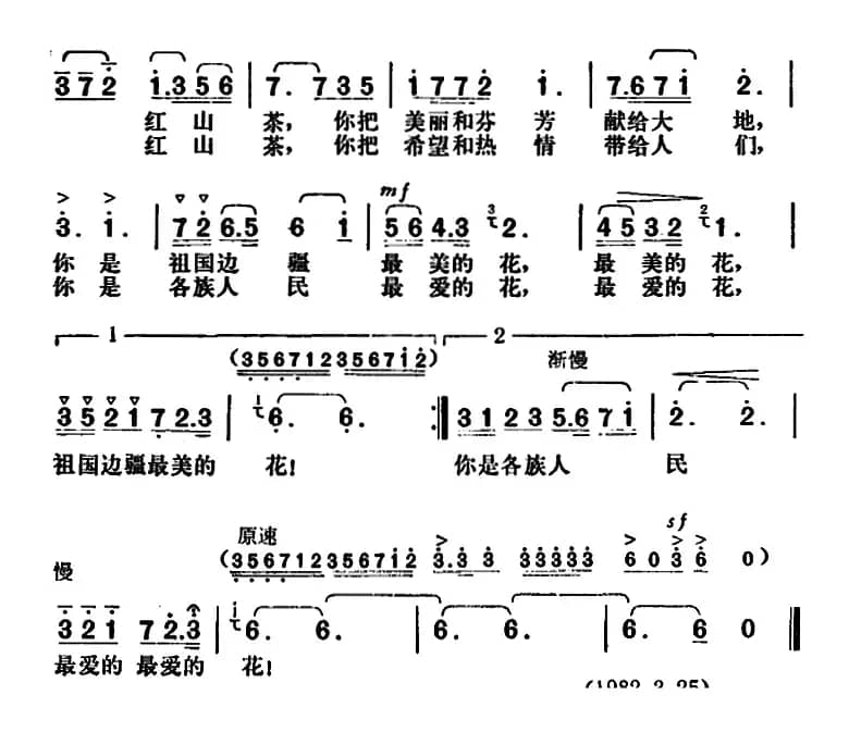 我爱春城红山茶