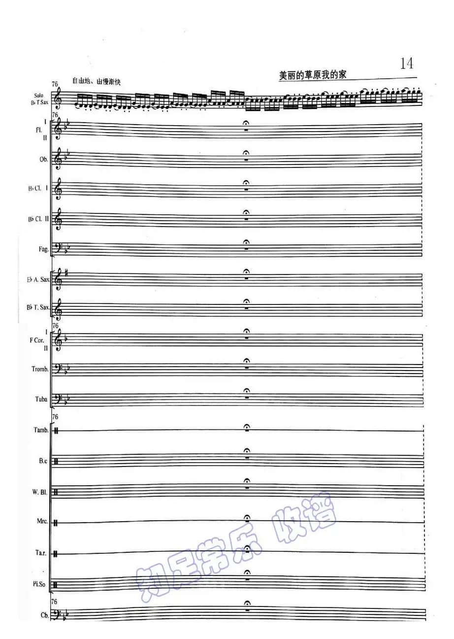 美丽的草原我的家(次中萨克斯与乐队)11-15
