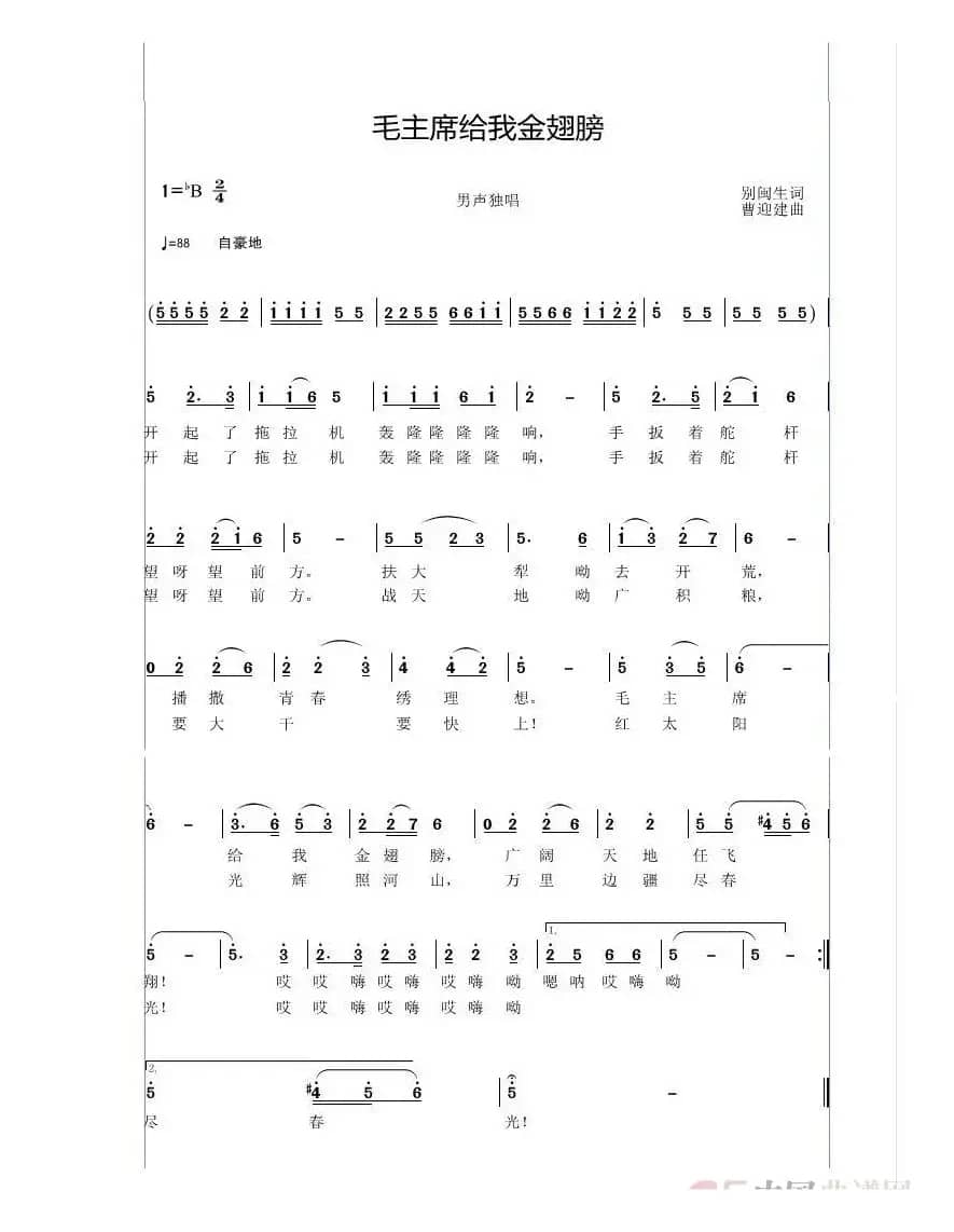毛主席给我金翅膀