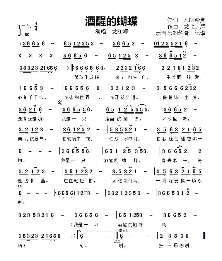 酒醒的蝴蝶（龙江辉）