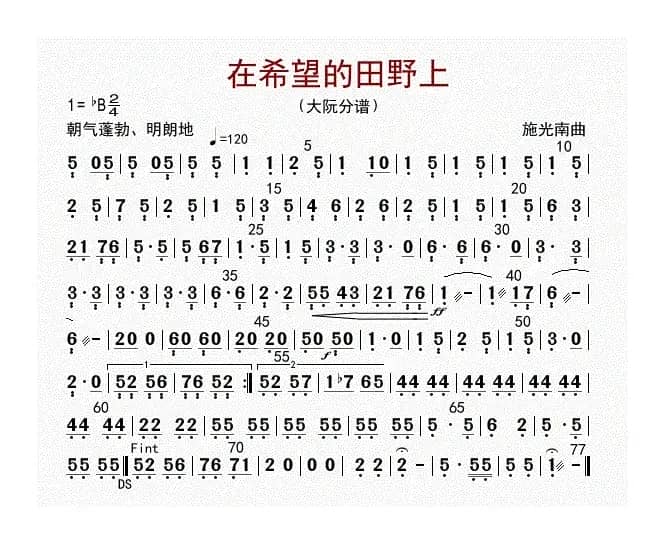 在希望的田野上（大阮分谱）