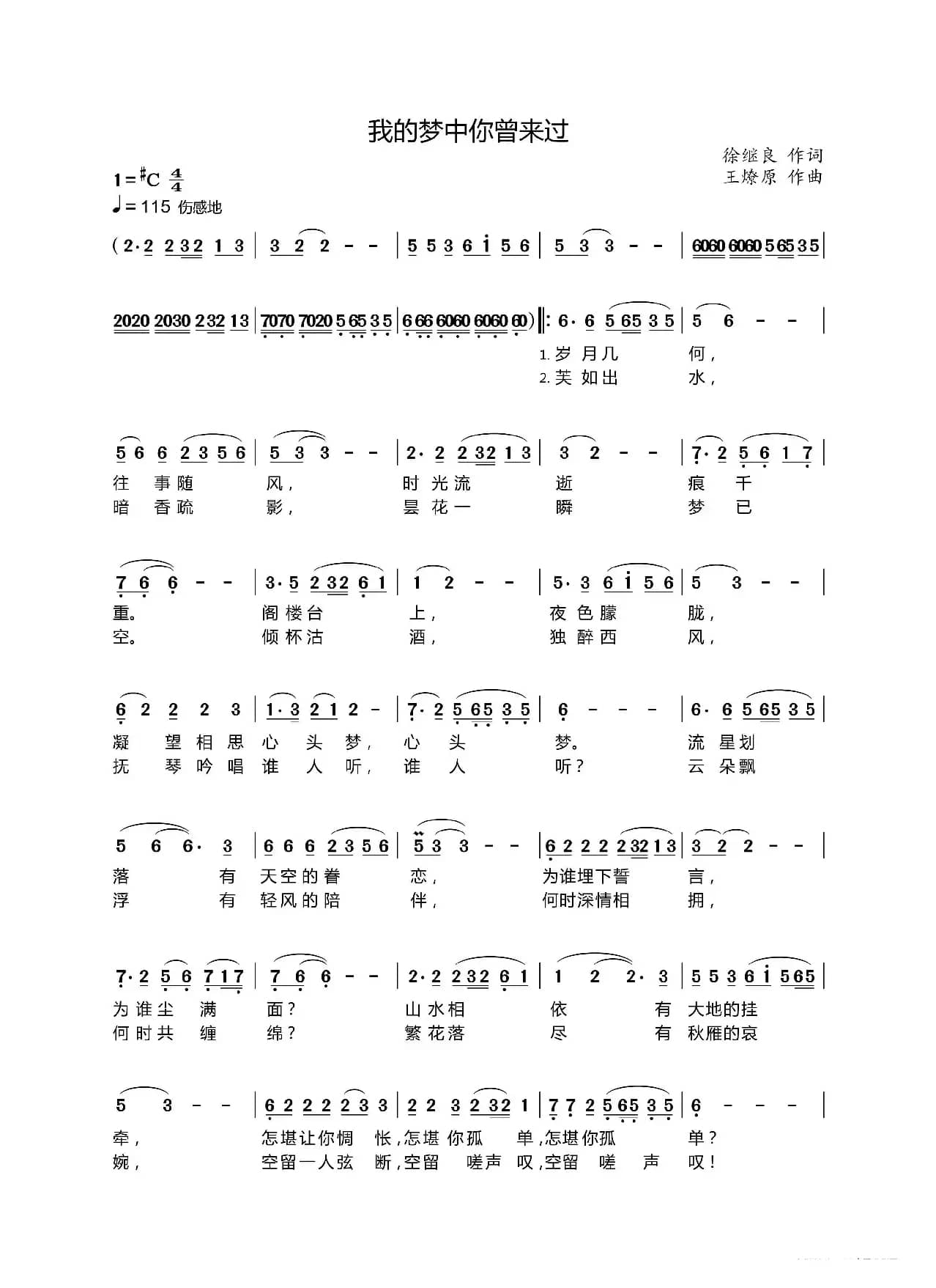 我的梦中你曾来过（徐继良）
