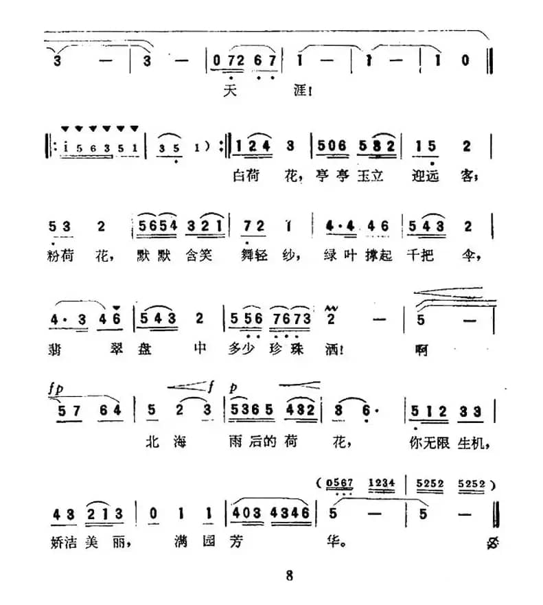 北海荷花带雨开