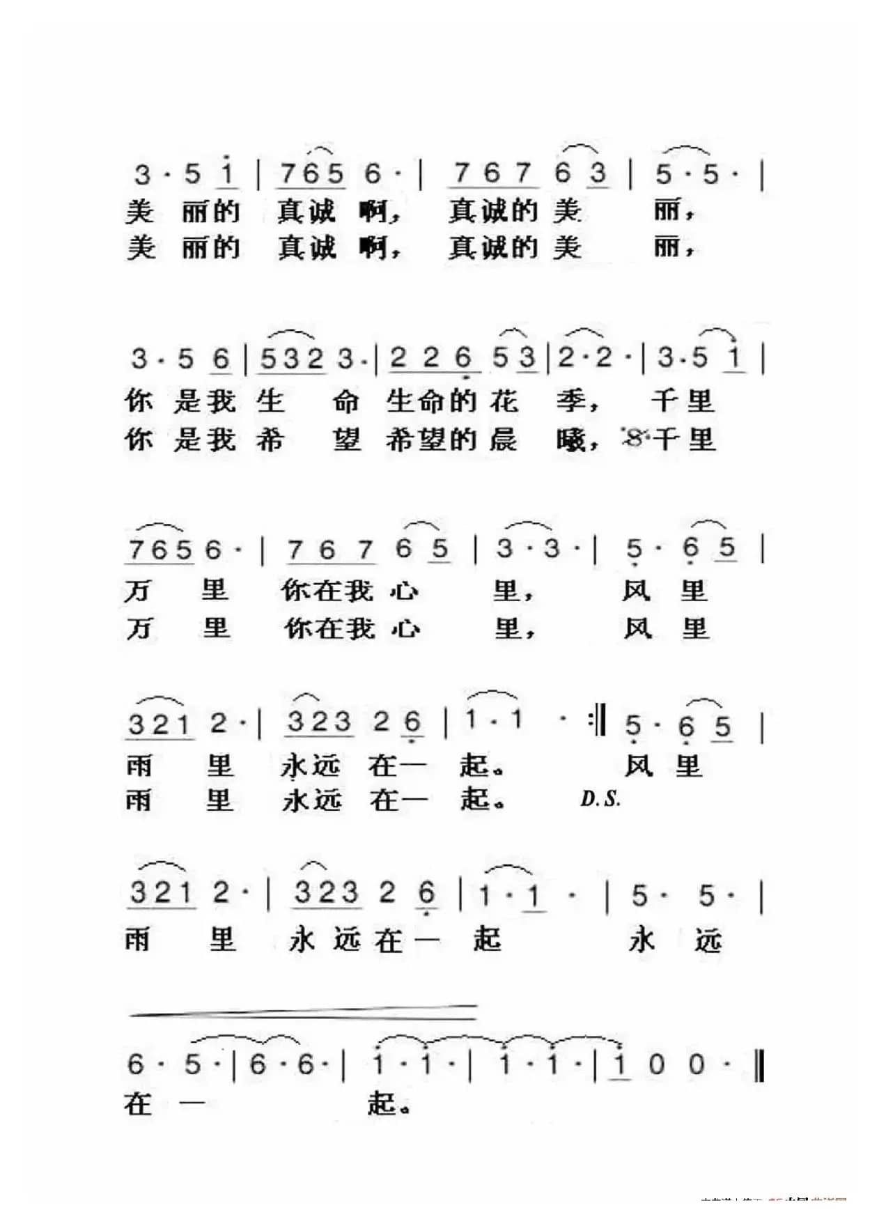 真诚的美丽（大字老人适用）