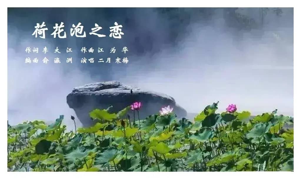 荷花泡之恋