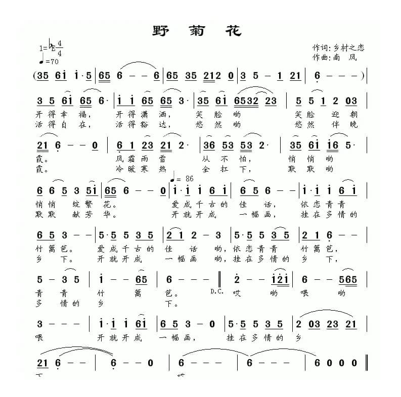 野菊花（乡村之恋词 南风曲）