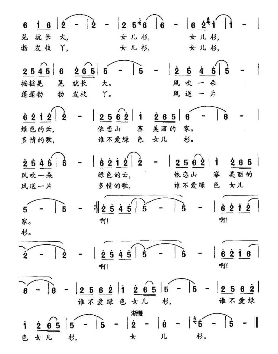 女儿杉（佘致迪词 张长松曲）