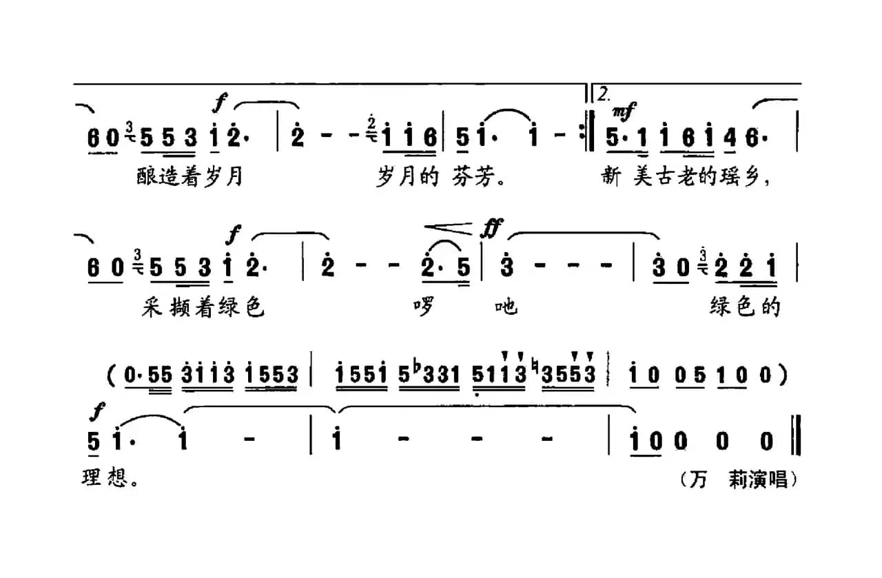 云雾中的塔山茶